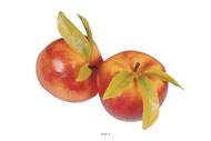 Pomme artificielle gante et feuilles X 2 Plastique souffl D 150 mm