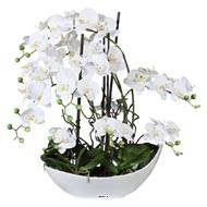 Orchidée factice 9 hampes en coupe céramique blanche, H70cm magistrale