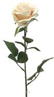 Rose factice Paris H64cm tête D9cm 12 feuilles tissu Crème vert - BEST