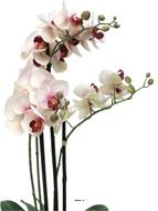 Orchidée Phalaenopsis faux 3 hampes H60 cm Top qualité Rose-crème BEST