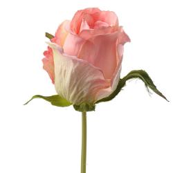 Rose Eden factice H25cm Rose pâle superbe Tête tissu D5 cm environ