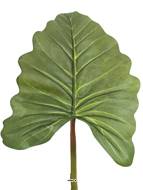 Feuille d'Alocasia, Songe Caraïbe artificielle, H 91 cm - BEST