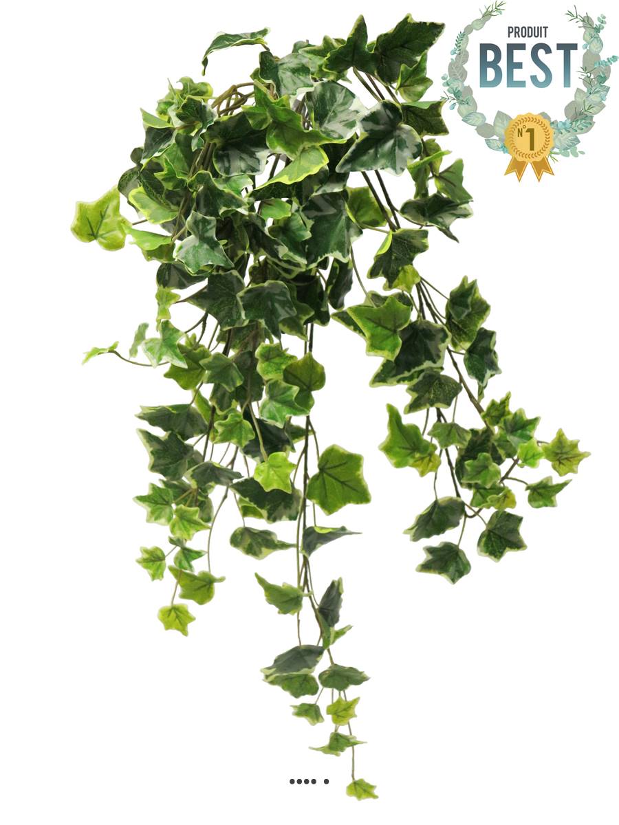 Acheter des Faux lierre en chute SIMON, sur piquet, vert, 45cm - Fausses  plantes