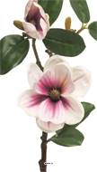 Magnolia du Japon artificiel en tige, H 51 cm Pourpre-blanc - BEST