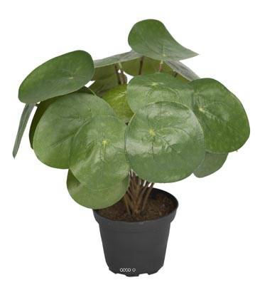 Plante Oreilles éléphant factice en pot H25cm D25cm feuilles tergal