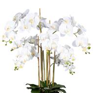 Orchidée factice 7hampes vase résine noir H105cmD75cm touché réelCrème