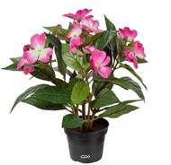 Grande Violette Africaine artificielle en pot, H 30 cm Rose