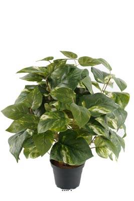 Pothos artificiel en pot H 40 cm, D 34 cm