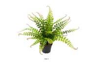 Fougère Blechnum spicant artificielle en pot, H 30 cm, D 35 cm