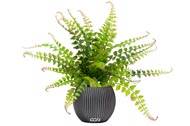 Fougère Blechnum spicant artificielle en pot, H 30 cm, D 35 cm