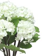 Bouquet de fleurs de Viorne artificielles, 5 têtes, H30cm Crème - BEST