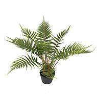 Fougre arborescente des forts artificielle en pot H 50 cm D 65 cm