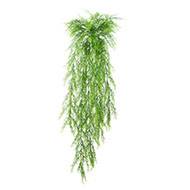Chute d'asparagus sprengeri artificiel L 75 cm lg 30 cm plastique