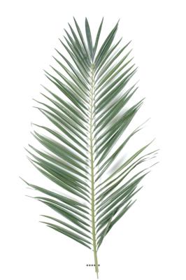 Feuille de palmier artificielle H 147 cm