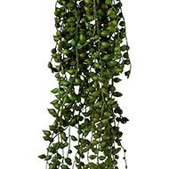 Chute de senecio artificiel L 88 cm feuillage plastique