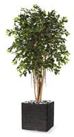 Ficus Retusa artificiel H 150 cm 1440 feuilles en pot