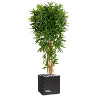 Croton Goldfinger reflexa factice H150 cm 1428 feuilles arbre en pot