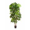 Schefflera artificiel H 190 cm 317 feuilles en pot superbe et rare