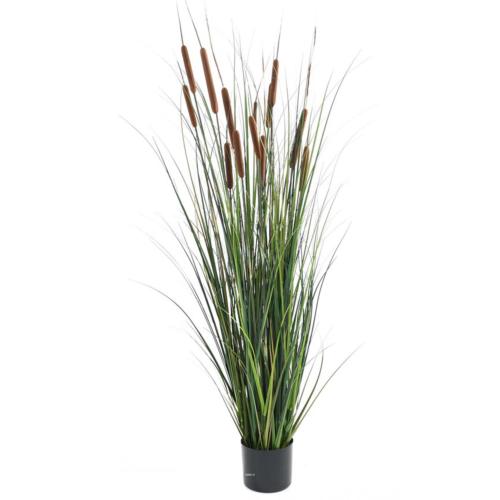 Graminée Verte en pot factice plante eau & 13 quenouille H150cm Marron