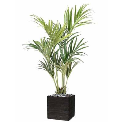 Palmier Kentia artificiel en pot H 160 cm D 90 cm Vert