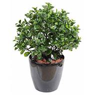 Peperomia artificiel en pot buisson extérieur D 60 cm