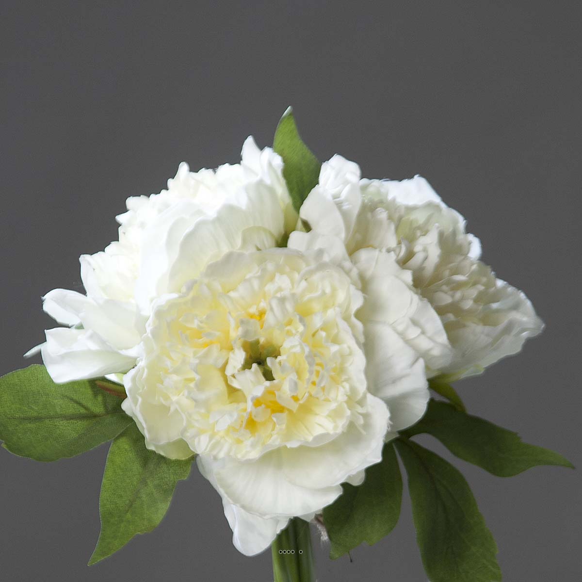 Bouquet de 3 Pivoines Crème épanouies factice Corde et feuillage H26cm
