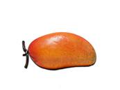 Mangue artificielle fruit exotique factice Longueur13 cm