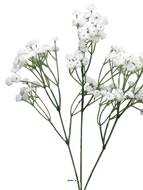 Gypsophile artificiel en branche 117 fleurs H 68 cm - BEST