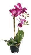 Orchidee artificielle 2 hampes en pot H 40 cm touché réel Erica