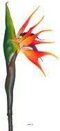 Strelizia Arabica artificiel H 80 cm oiseau du paradis tête latex