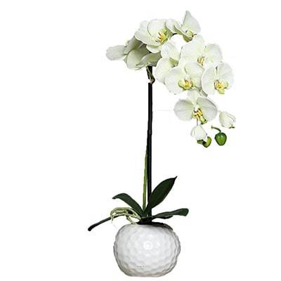 Orchidee artificielle crème Vert1 hampe en pot Ceramique Blanc H 46 cm