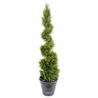 Cypres Juniperus artificiel en pot sur tronc en spirale fine H 160 cm