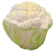 Choux-fleur artificiel en Plastique soufflé L 12x13 cm