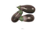 Aubergines artificielles en lot de 3 en Plastique souffl L 135x60 mm