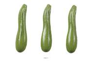 Courgette verte artificielle X 3 en Plastique souffl L 180x40 mm