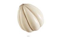 Provolone Boule artificiel Fromage italien Plastique souffl D 270 mm