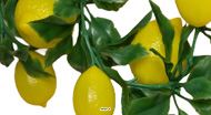 Guirlande de 22 Citrons Artificiels 2m D17 cm – Fruits en Plastique Soufflé 2 Tailles