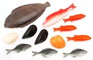 Poissons artificiels assortis en lot de 12 en Plastique souffl