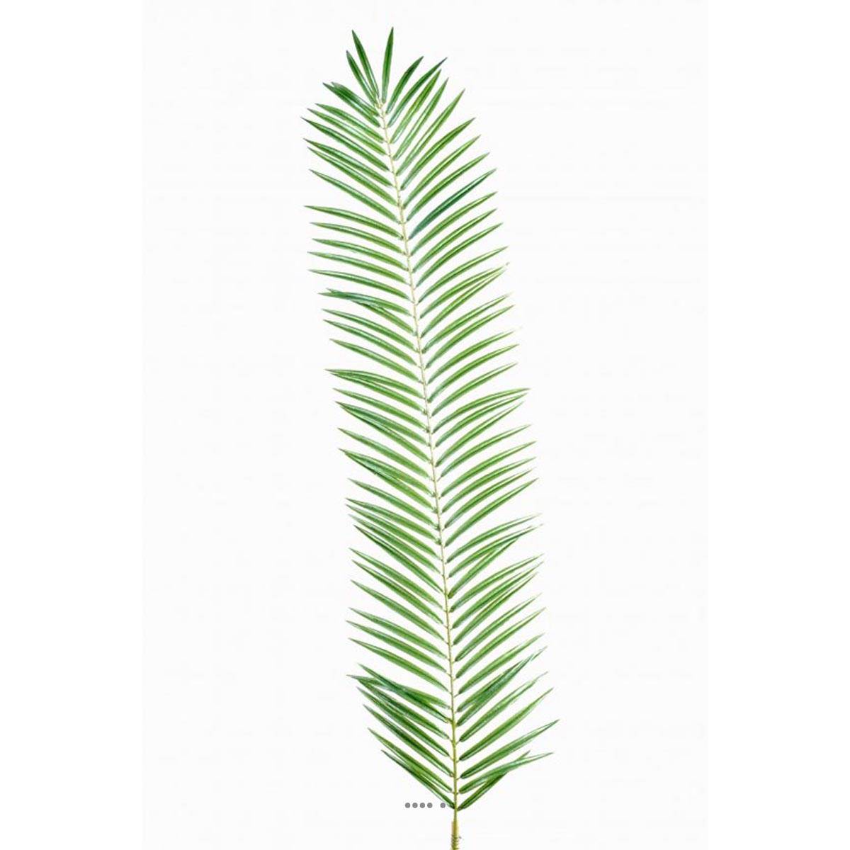 Feuille de palmier Cycas artificielle en tergal H 110 cm Vert du site  artificielles.com.