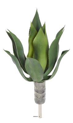 Agave, Aloé vera, artificielle en piquet H 60 cm Vert