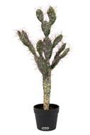Cactus Opuntia factice cacte en pot dense top Qualit H70cm Vert alo