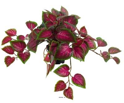 Coleus factice en pot de type rampant coloré H25cm D50cm Vert-rouge