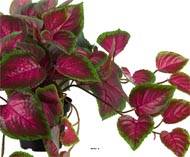 Coleus factice en pot de type rampant coloré H25cm D50cm Vert-rouge