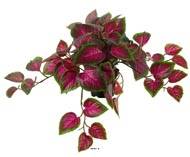 Coleus factice en pot de type rampant coloré H25cm D50cm Vert-rouge