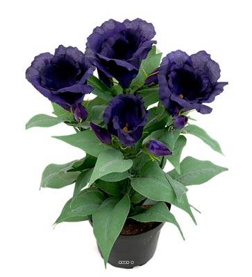 Eustoma artificiel en pot, 4 têtes de fleurs, H 30 cm Mauve violet