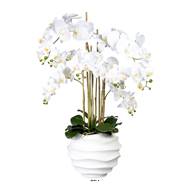 Orchidée faux vase résine blanc H105cmD75cm 7 hampes touché réel-Crème