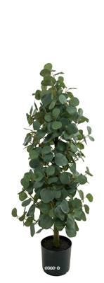 Eucalyptus à feuilles rondes sur pied artificiel, H 100 cm, D 33 cm