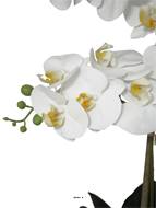 Orchidée phalaenopsis faux 2hampes 14fleurons en pot H60cm D20cm Crème