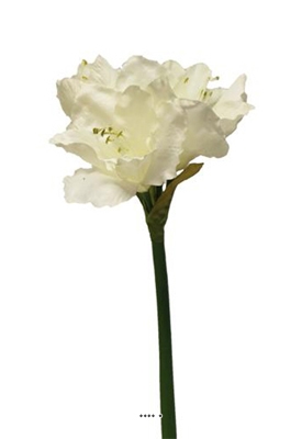 Amaryllis artificiel H 65 cm Superbe Crème