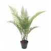 Fougre arborescente Cyathea artificielle en pot H 100 cm Vert extrieur